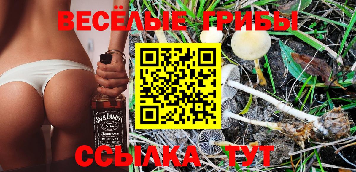 Псилоцибиновые грибы Magic Shrooms  Галлюциногенные грибы Psilocybine cubensis  Малгобек  Вход с VPN 