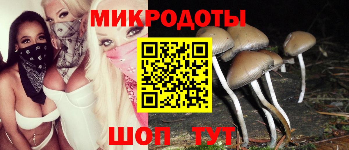 Галлюциногенные грибы прущие грибы Малгобек